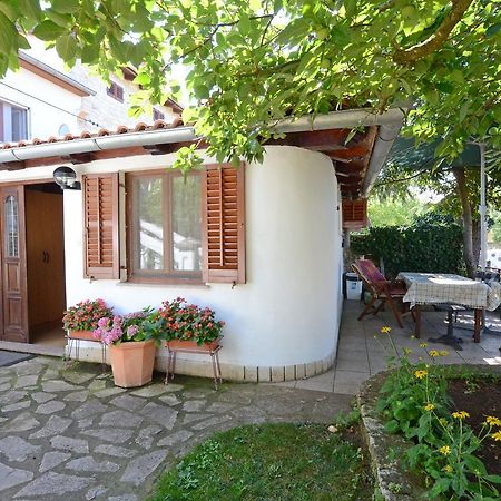 Apartment Amedea Канфанар Экстерьер фото